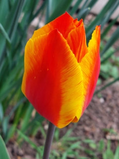 C_Bild_8.jpg