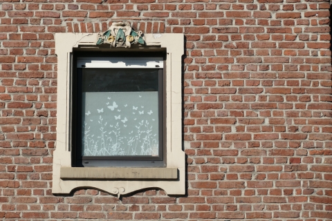 W_Bild_7.jpg