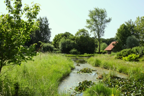 G_Bild_13.jpg