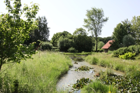 G_Bild_5.jpg