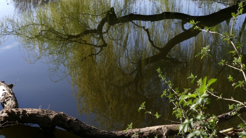 R_Bild_11.jpg