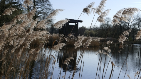 R_Bild_7.jpg