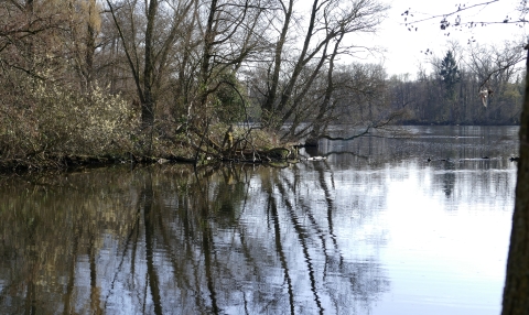 R_Bild_9.jpg