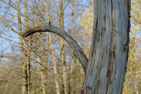 w_Bild_12.jpg