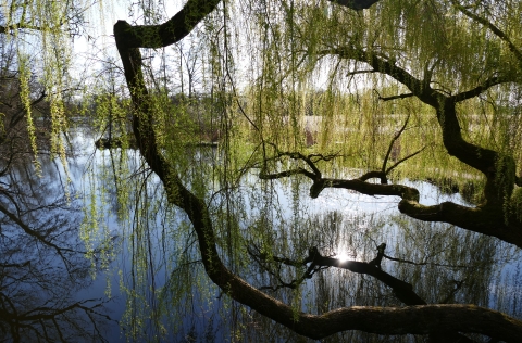 w_Bild_13.jpg