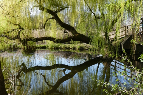 w_Bild_14.jpg