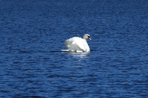 w_Bild_17.jpg