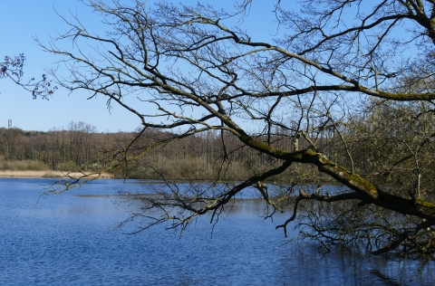 w_Bild_18.jpg