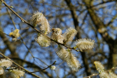 w_Bild_19.jpg
