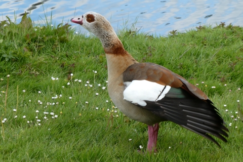 W_Bild_2.jpg