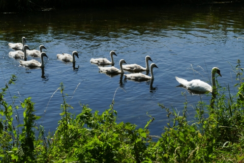 W_Bild_7.jpg