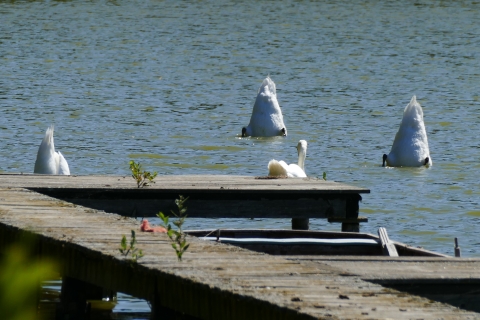 W_Bild_9.jpg